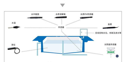 智慧水产养殖